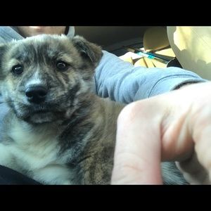 Meet your Posher, Matthew